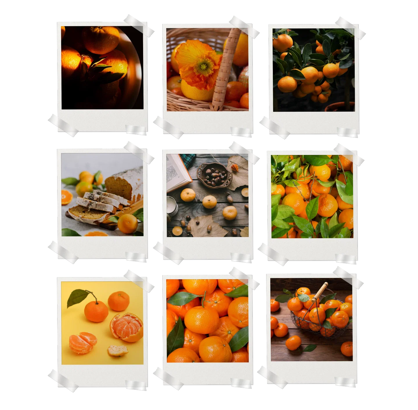 Tangerine Aesthetic Prints Set of 9