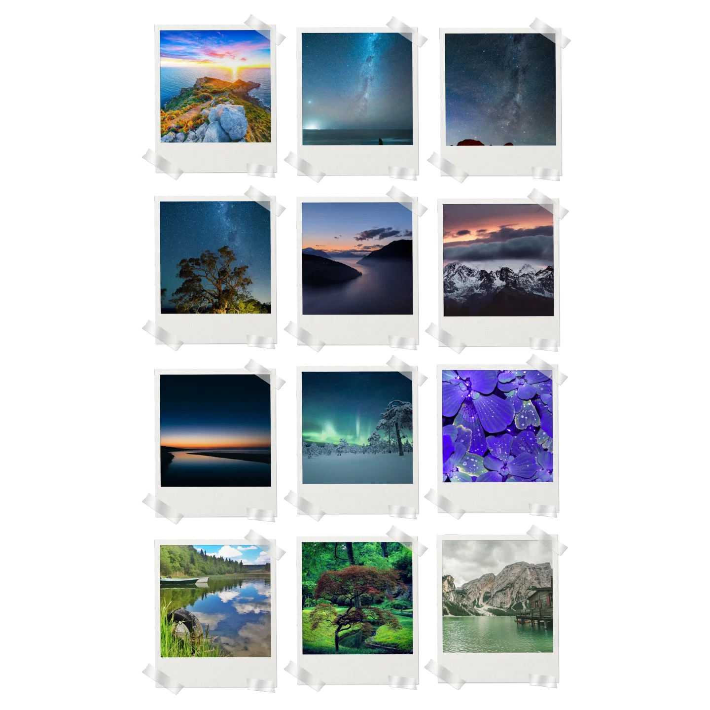 Nature Prints Set of 12