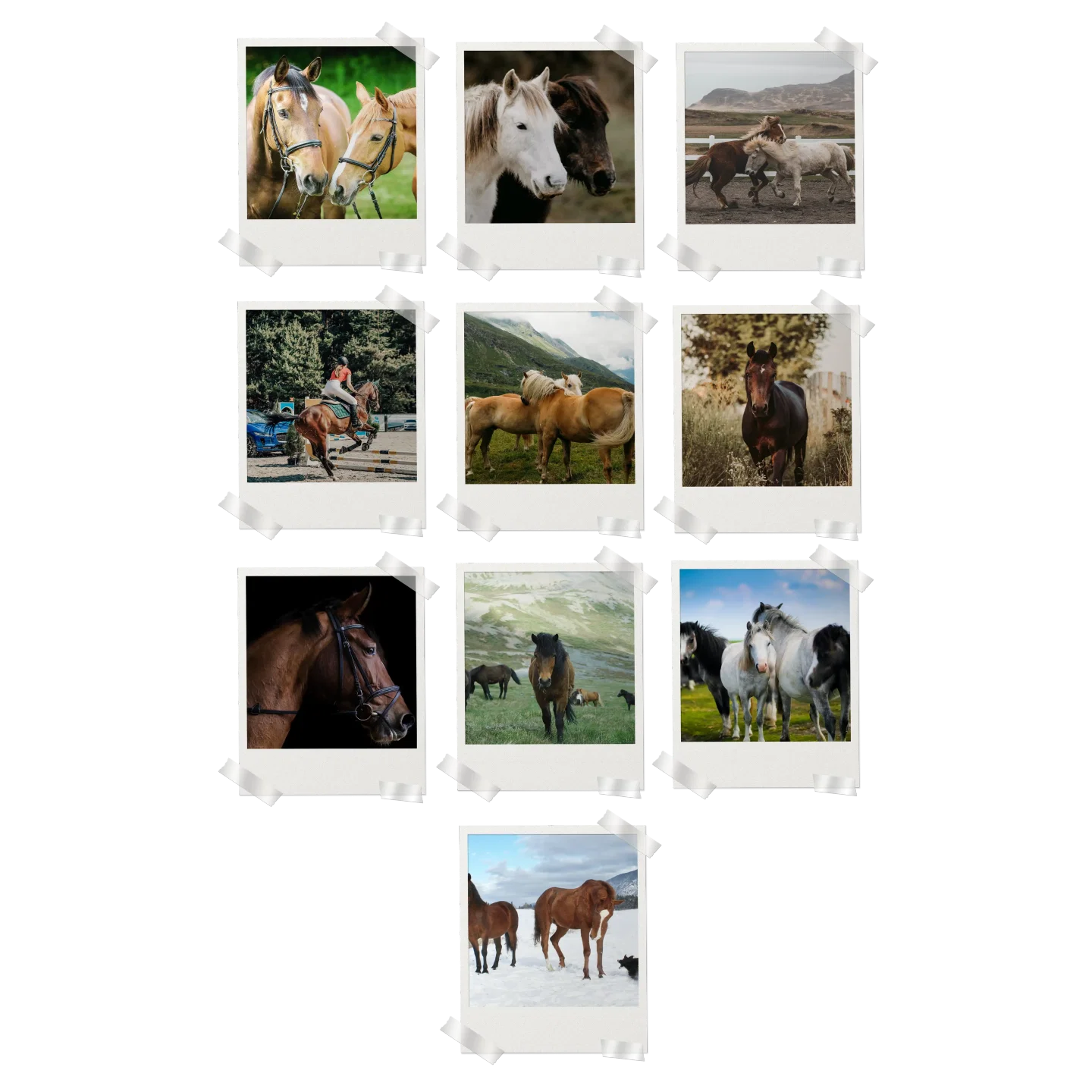 Horses Prints Set of 10