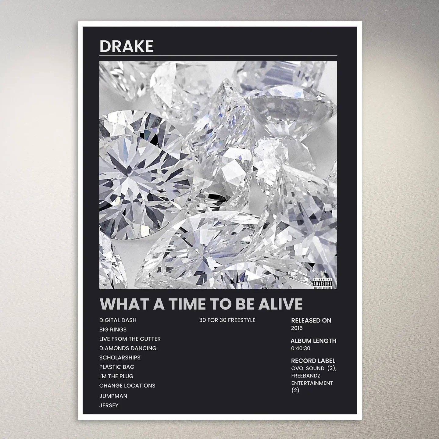Drake Poster