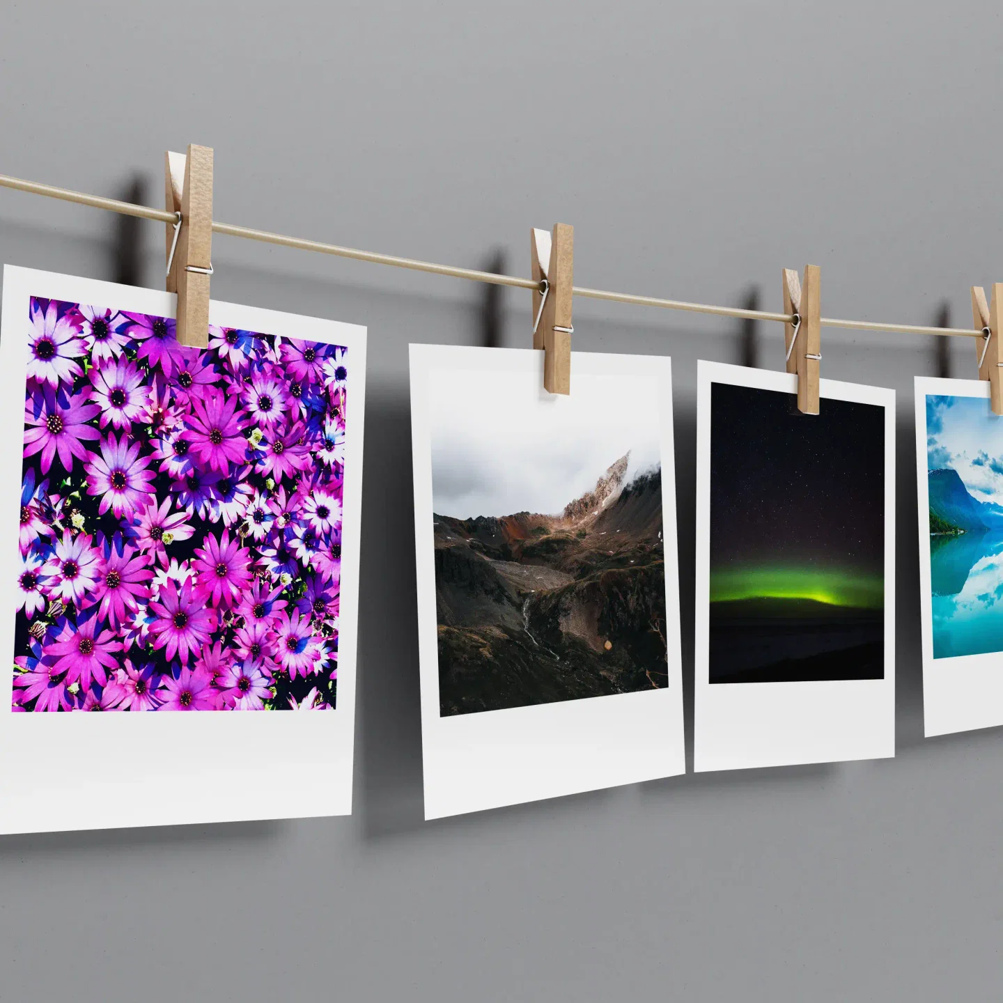 Nature Prints Set of 12