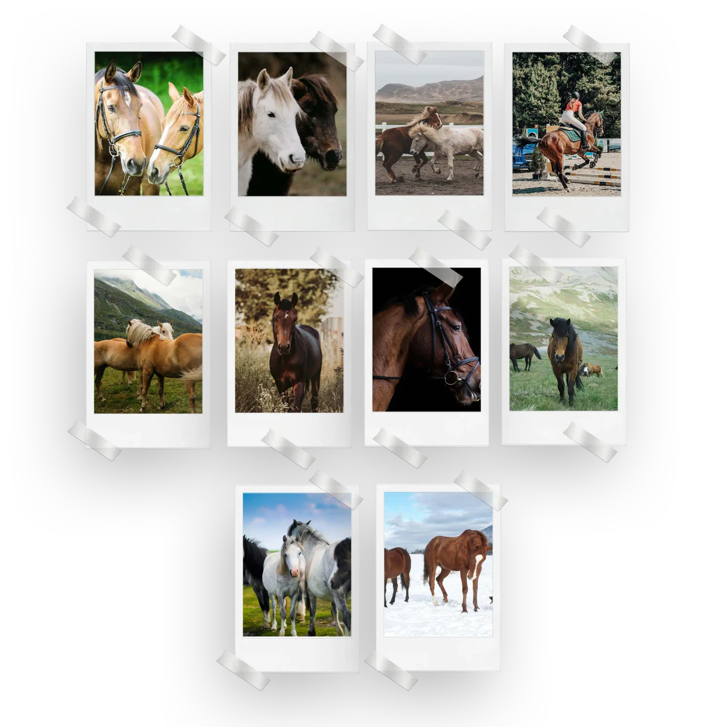 Horses Prints Set of 10