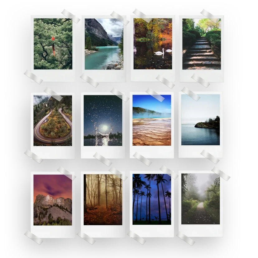 Nature Prints Set of 12