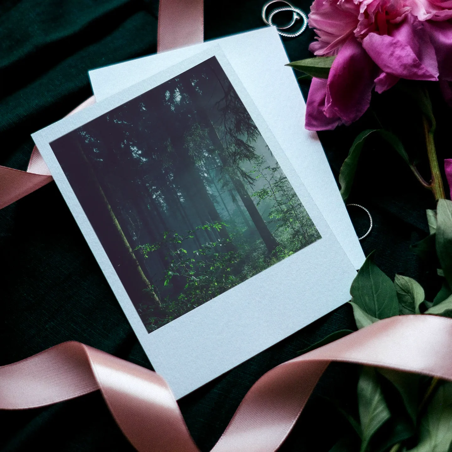 Forest Prints Set of 10