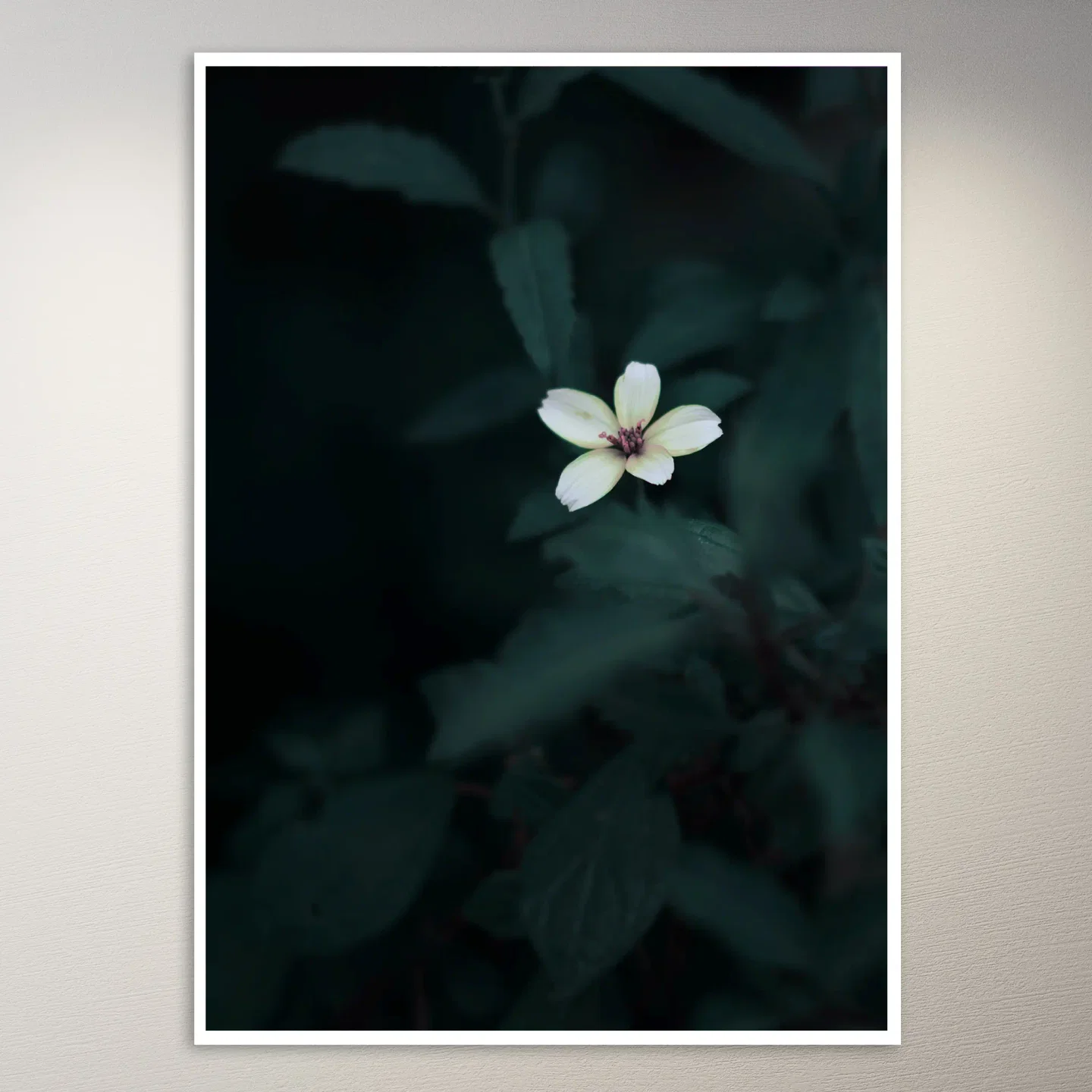 Aesthetic Flower Poster
