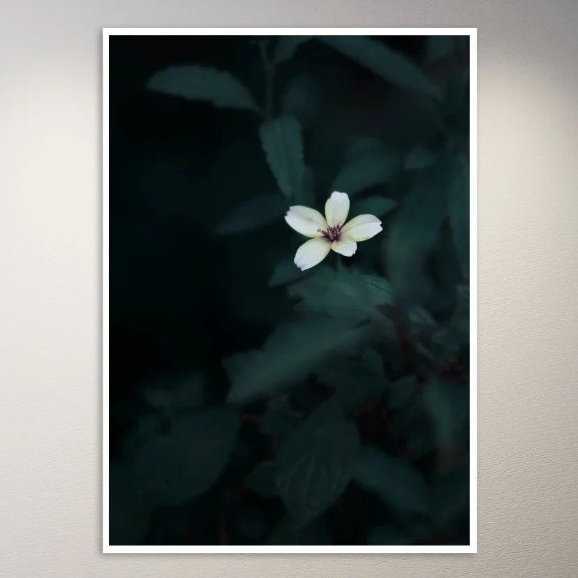 Aesthetic Flower Poster