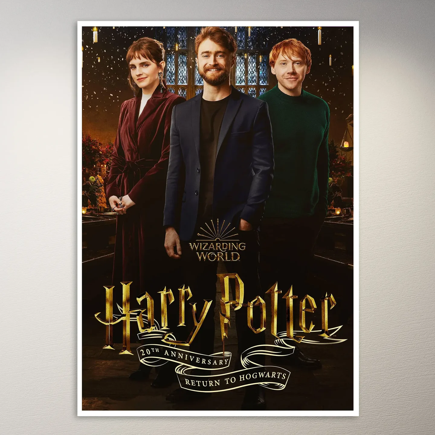 Harry Potter Reunion Poster