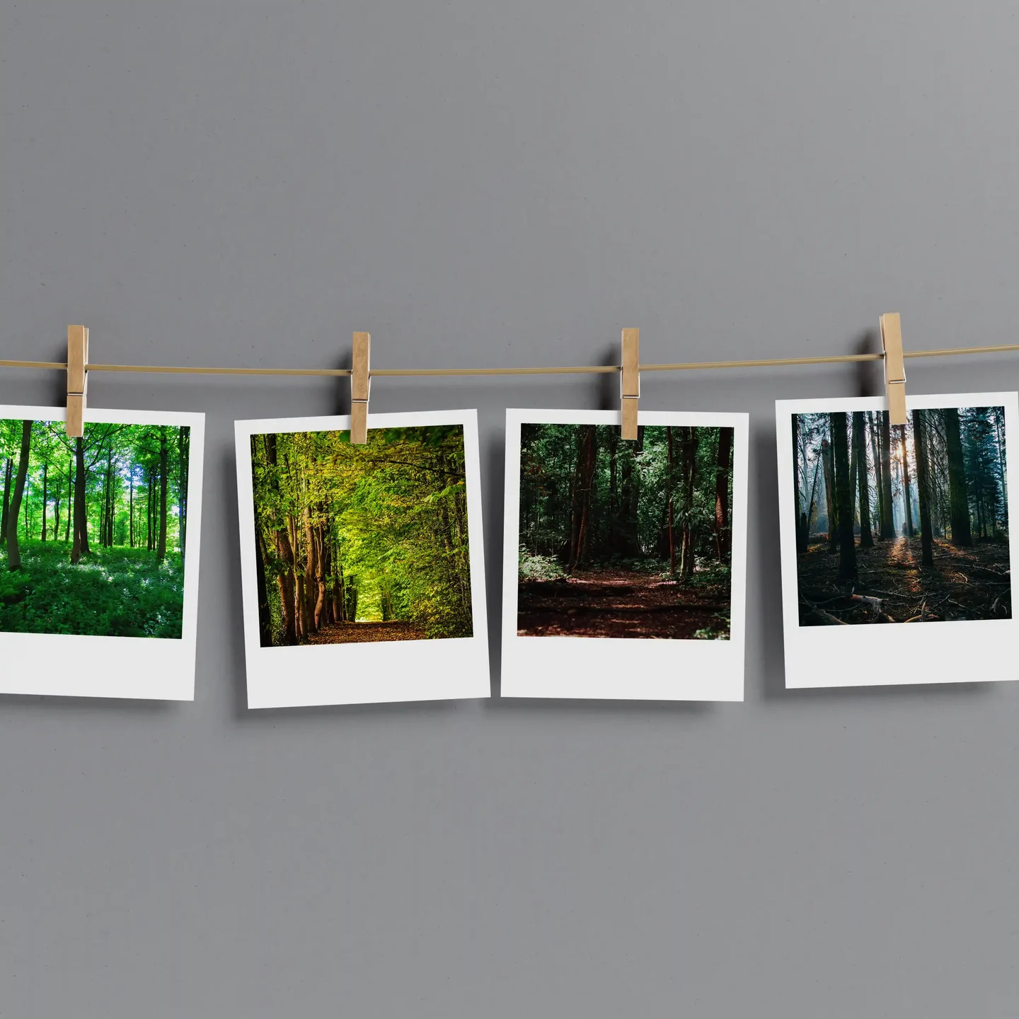 Forest Prints Set of 10