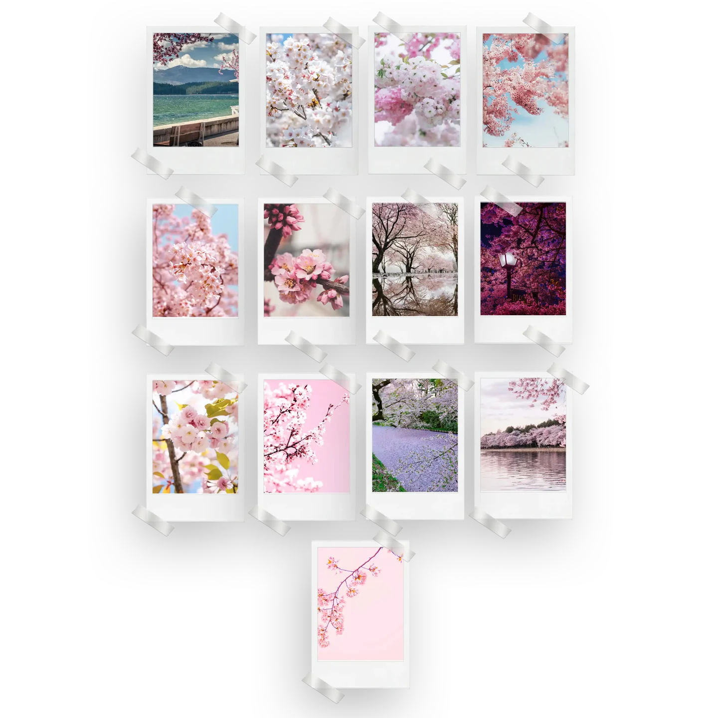 Cherry Blossom Prints Set of 13