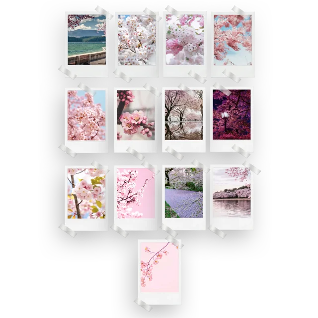 Cherry Blossom Prints Set of 13
