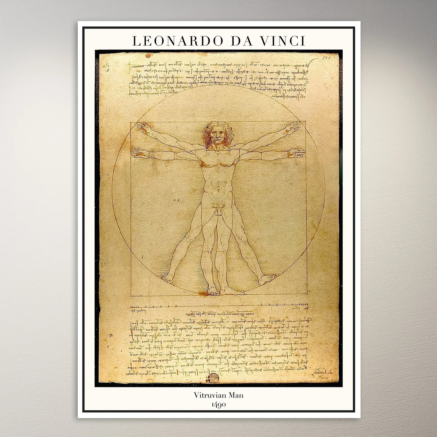 Leonardo da Vinci Vitruvian Man Poster