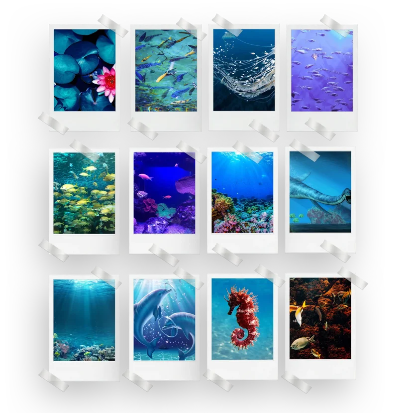 Aquatic Prints Set of 12