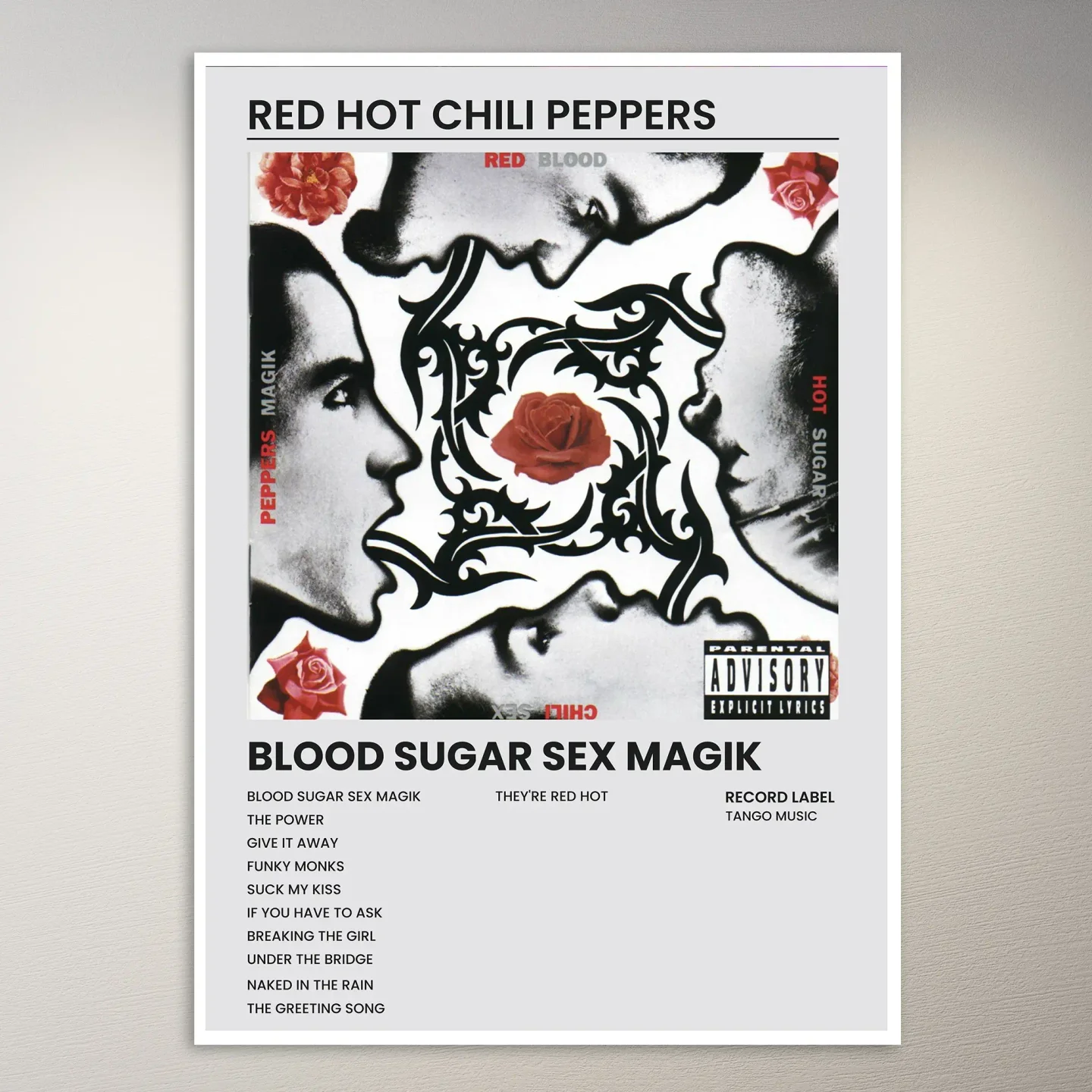 Red Hot Chili Peppers Poster