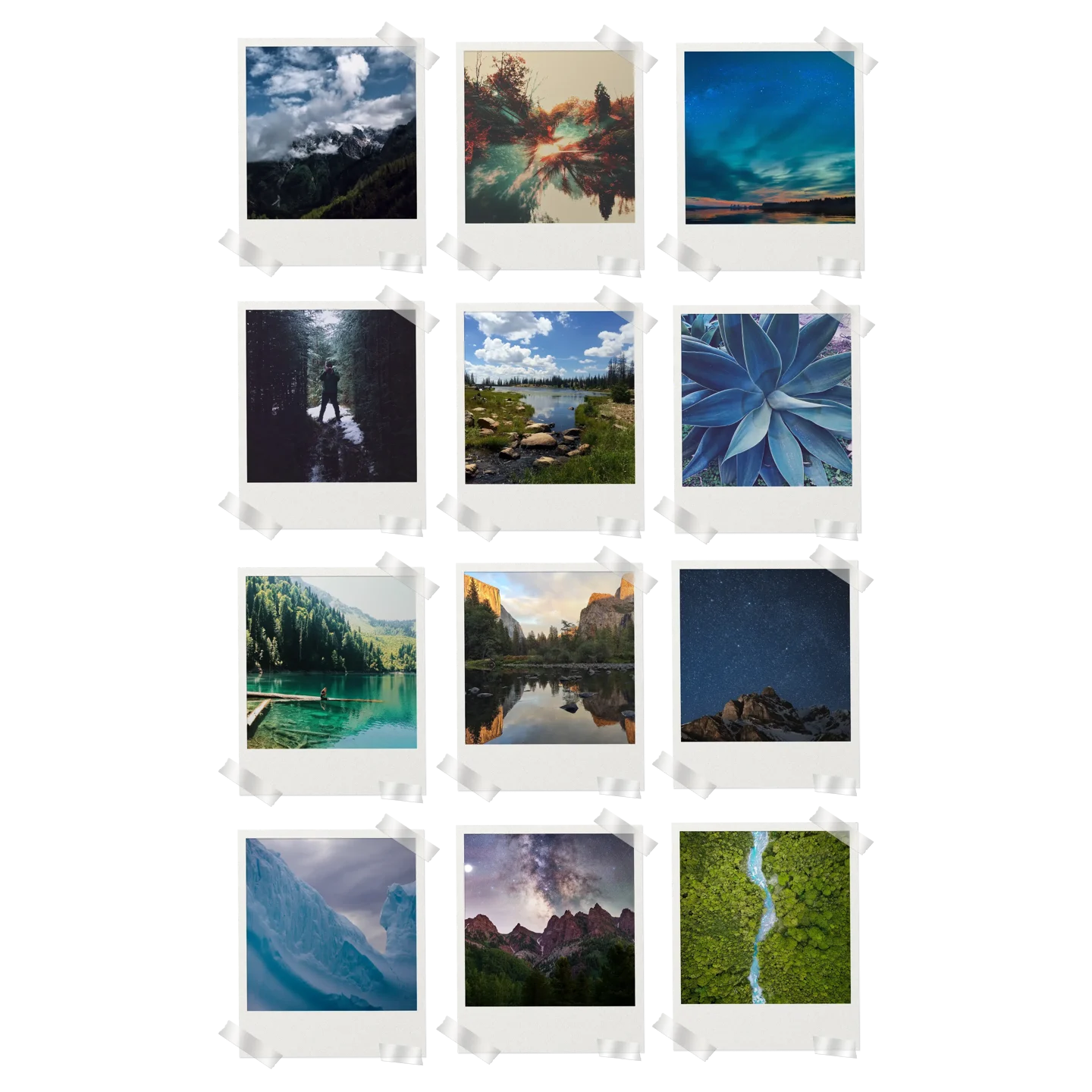 Nature Prints Set of 12