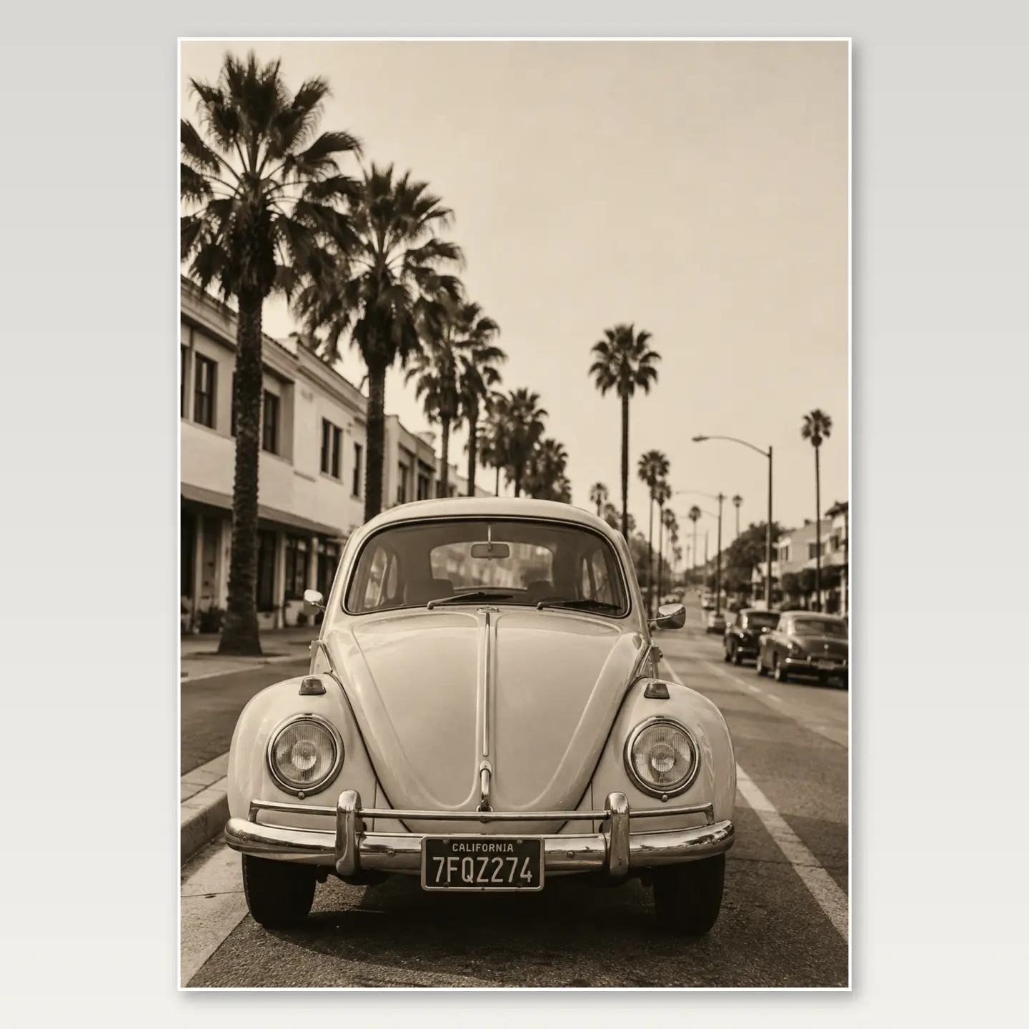 Palm Street Beetle A4 Poster mockup