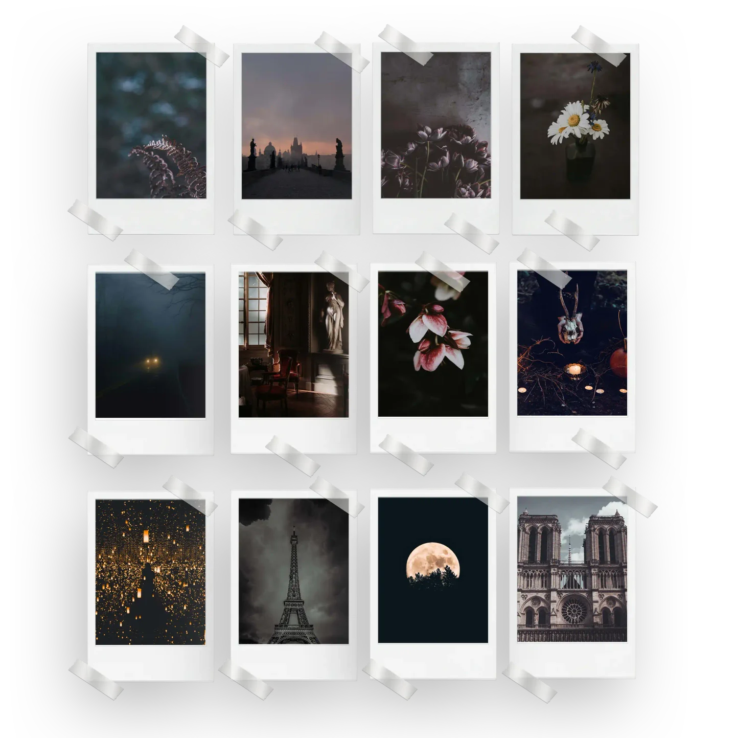Dark Academia Prints Set of 12