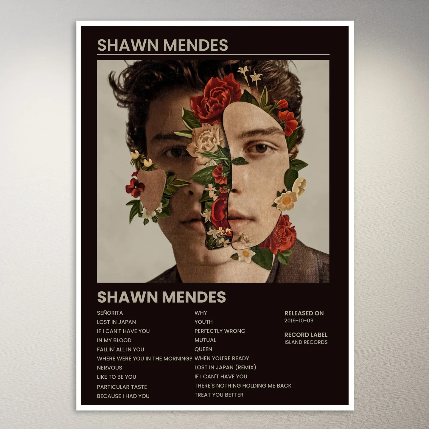 Shawn Mendes Poster