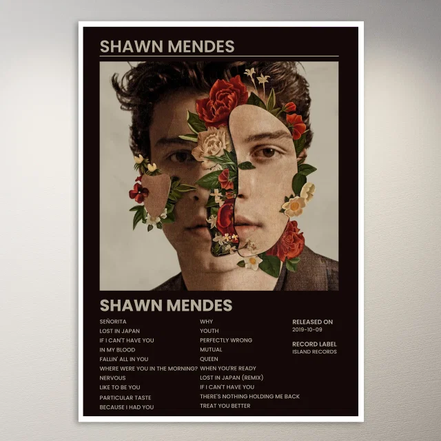 Shawn Mendes Poster