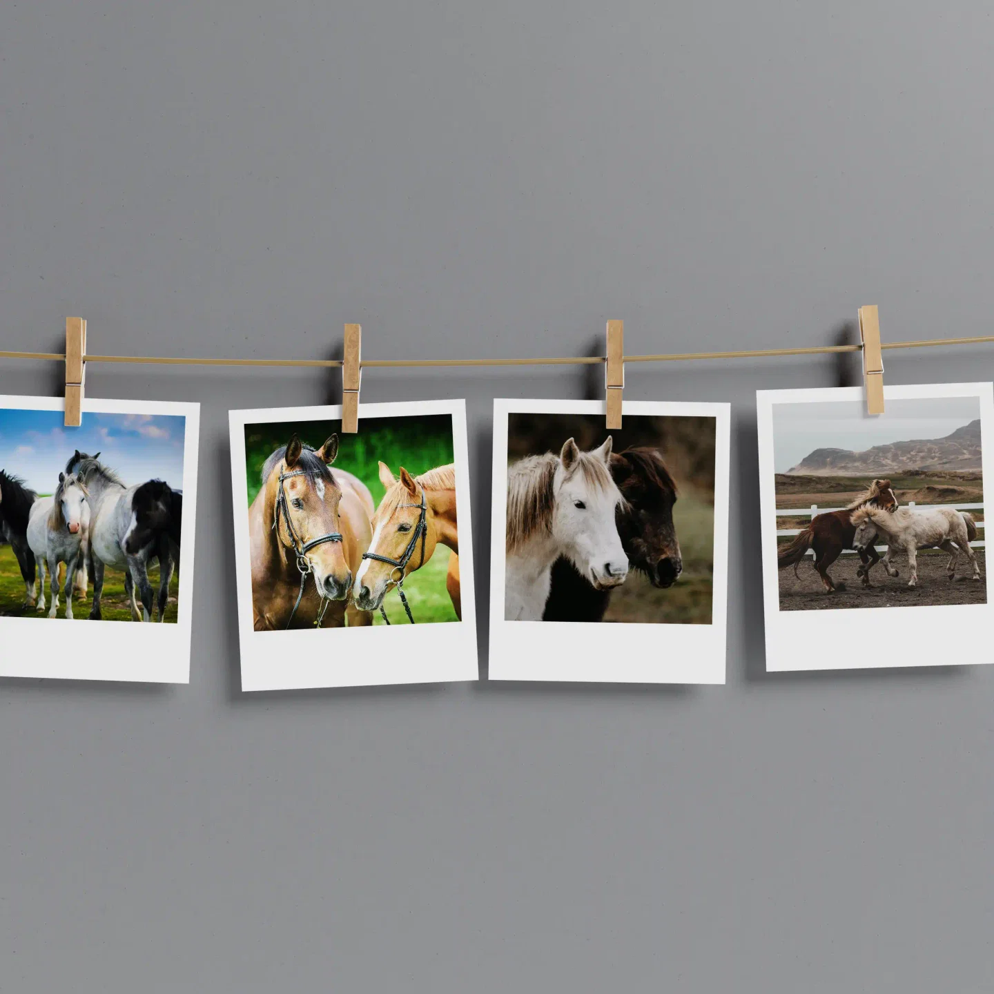 Horses Prints Set of 10