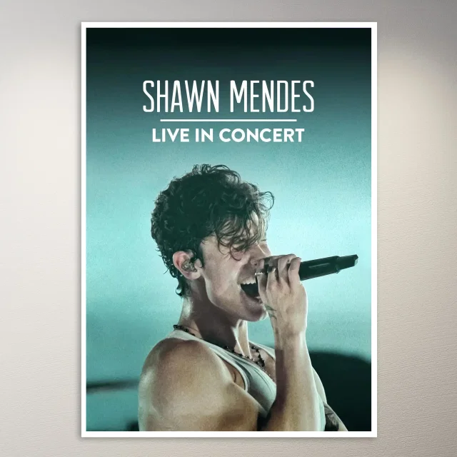 Shawn Mendes Live Concert Poster