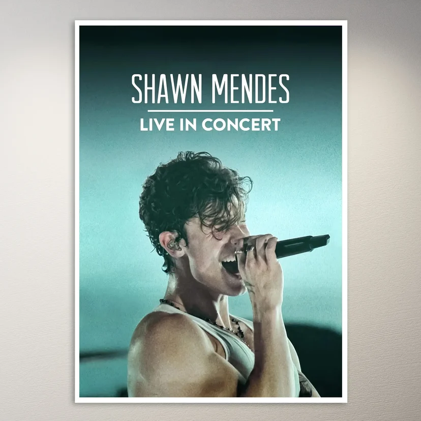 Shawn Mendes Live Concert Poster
