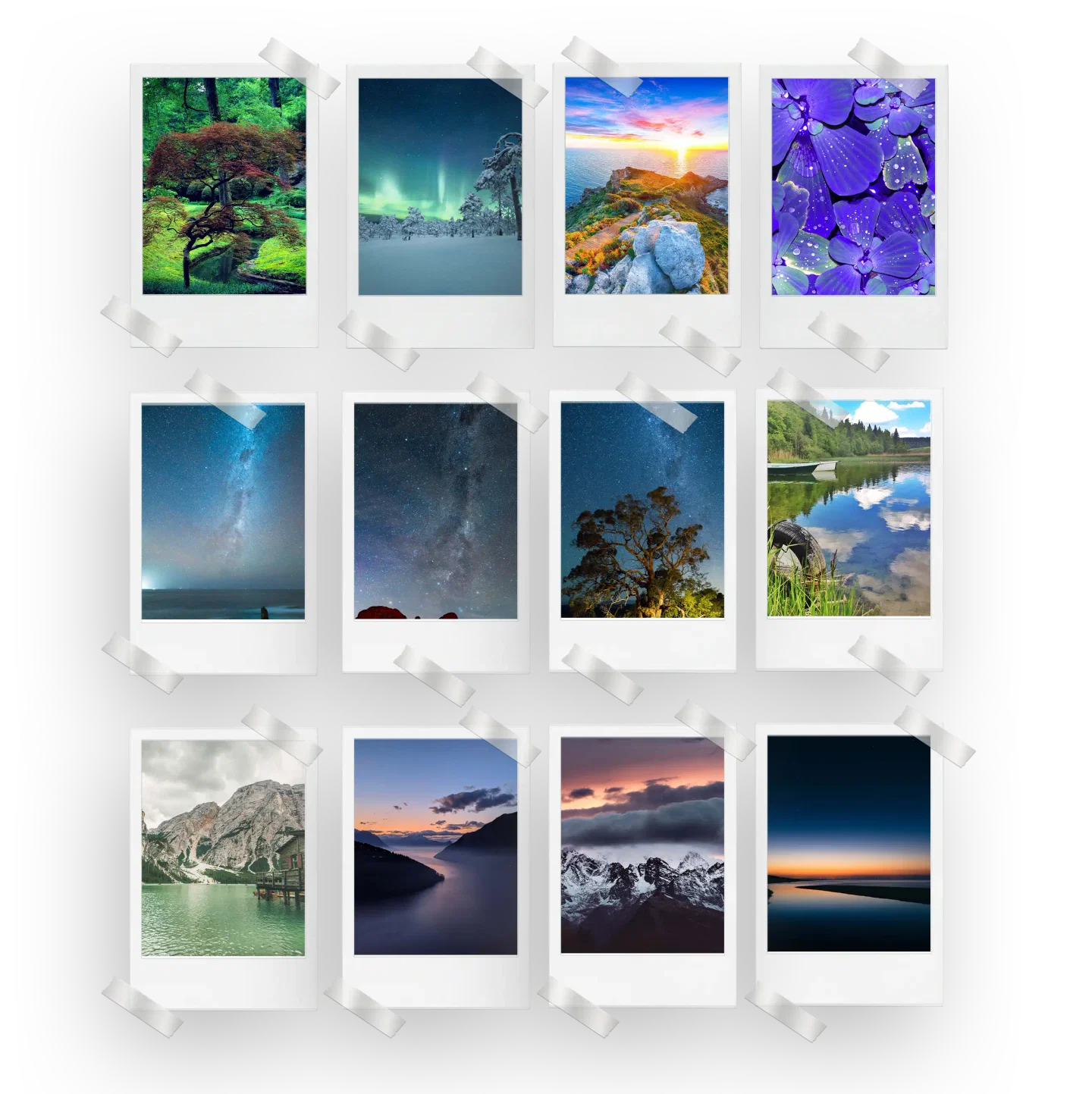 Nature Prints Set of 12