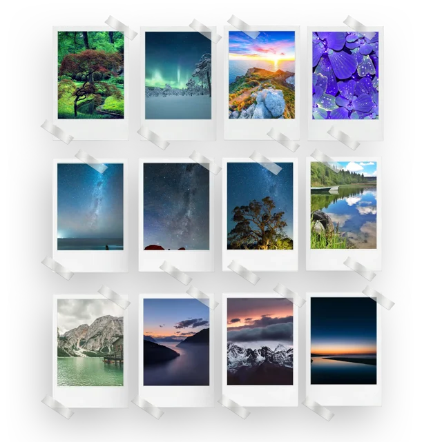 Nature Prints Set of 12