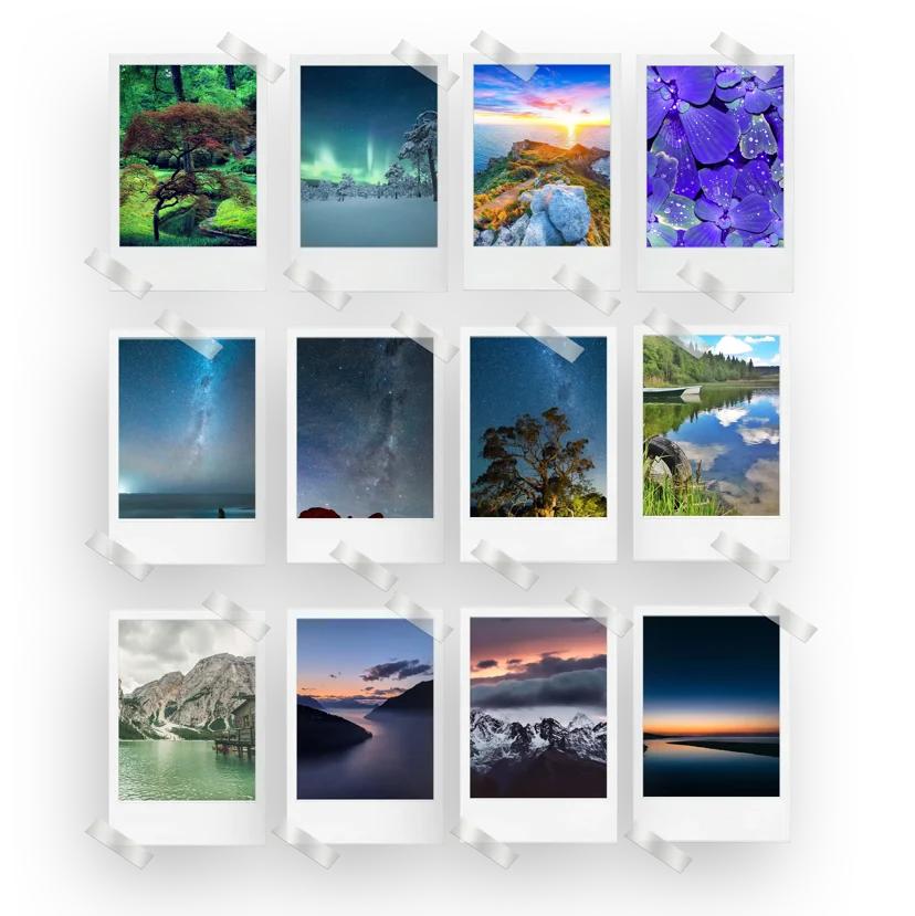 Nature Prints Set of 12