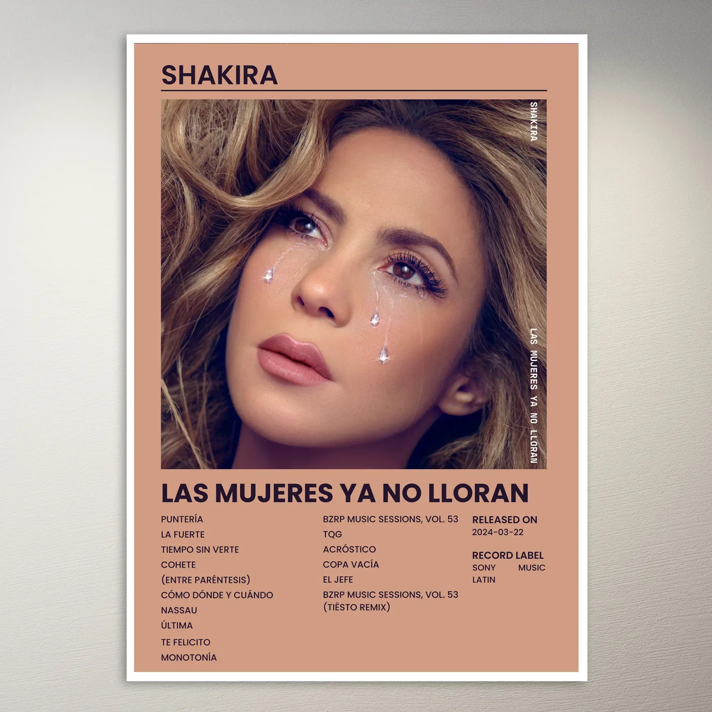Shakira Poster