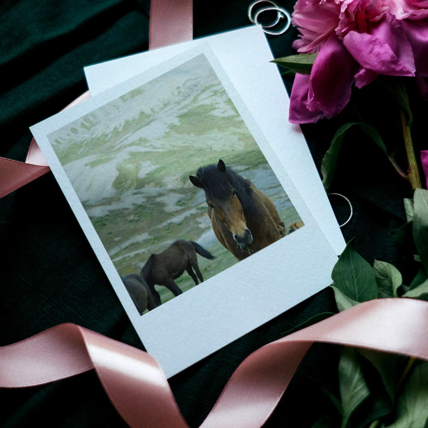 Horses Prints Set of 10