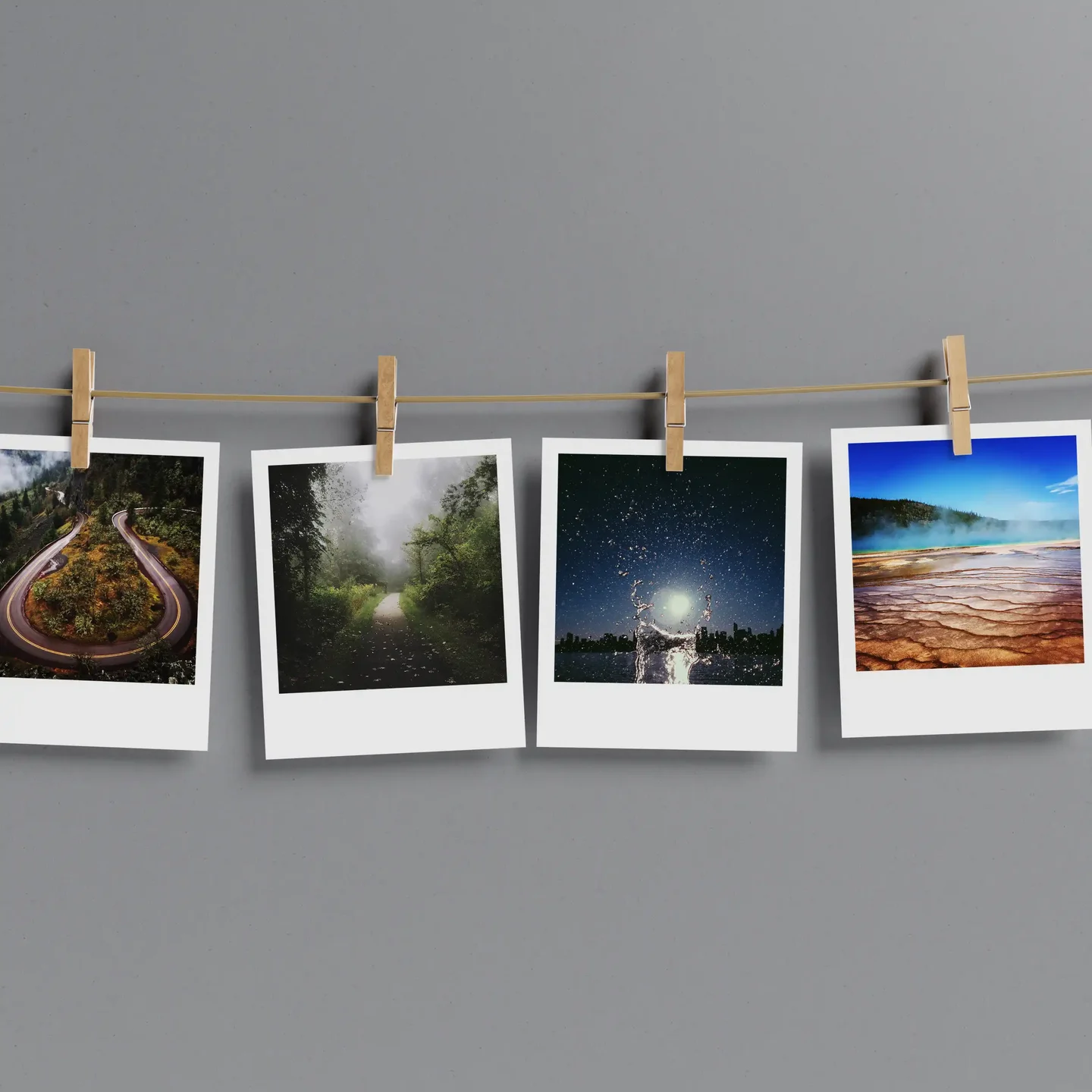 Nature Prints Set of 12