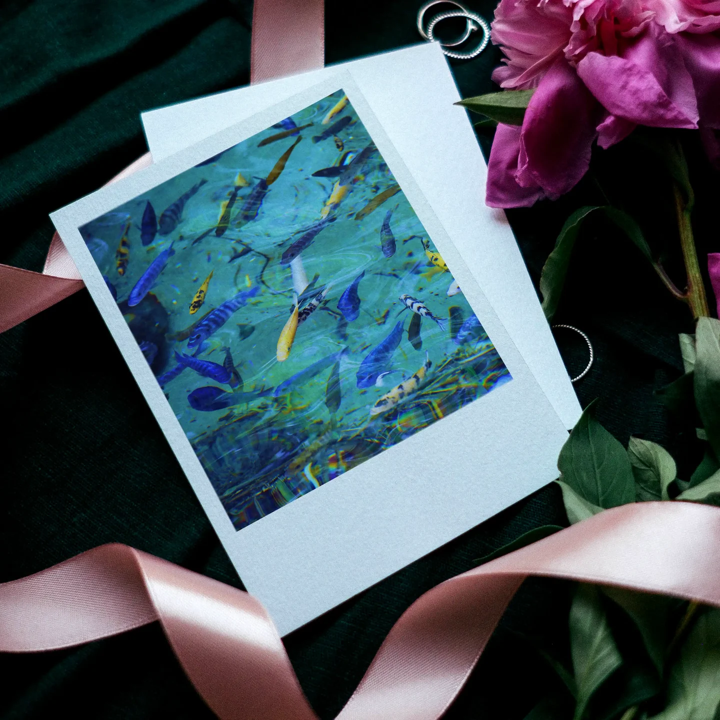 Aquatic Prints Set of 12