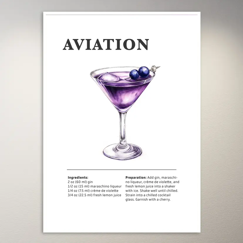 Aviation Poster