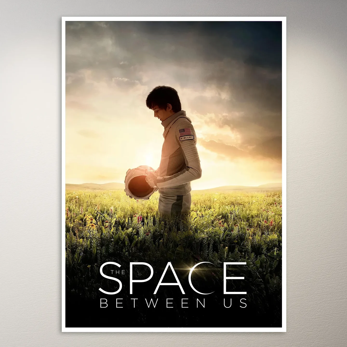 Astronaut in Field Poster