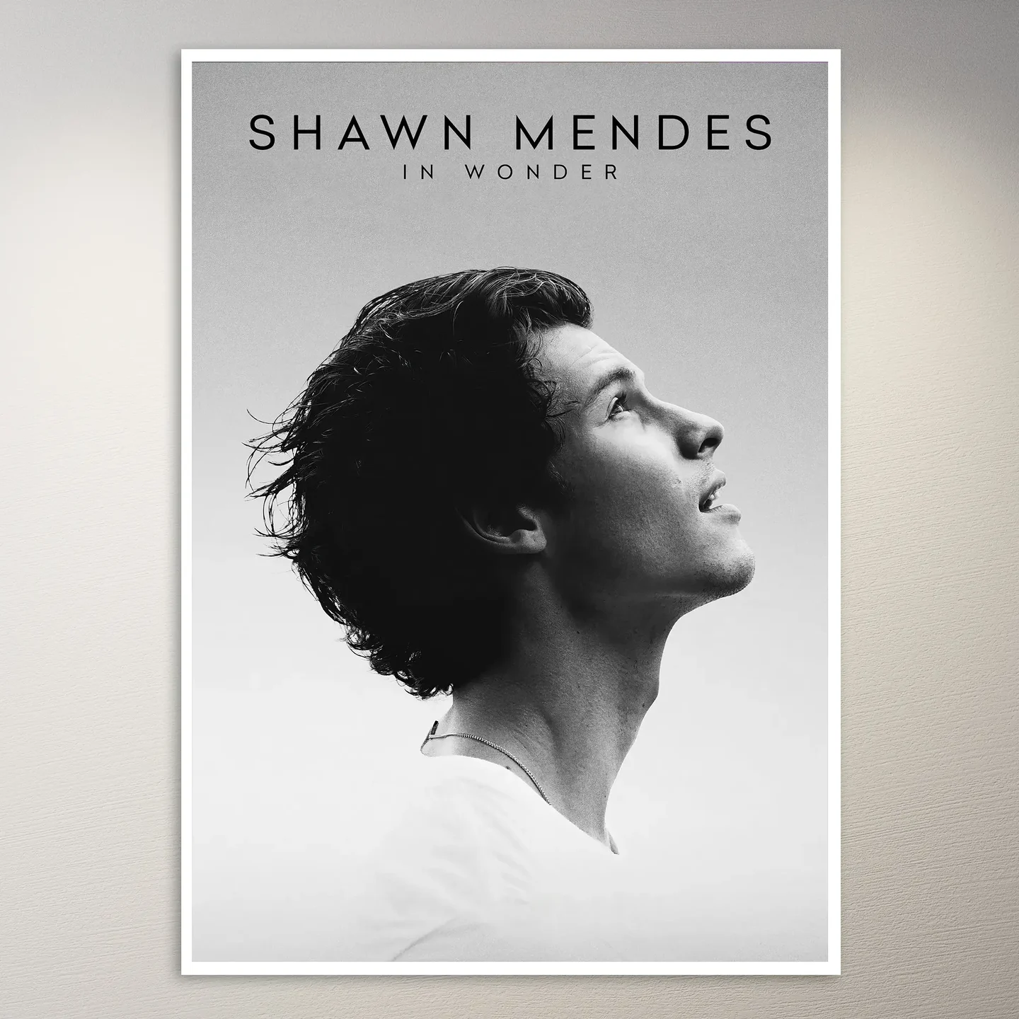 Shawn Mendes In Wonder Poster