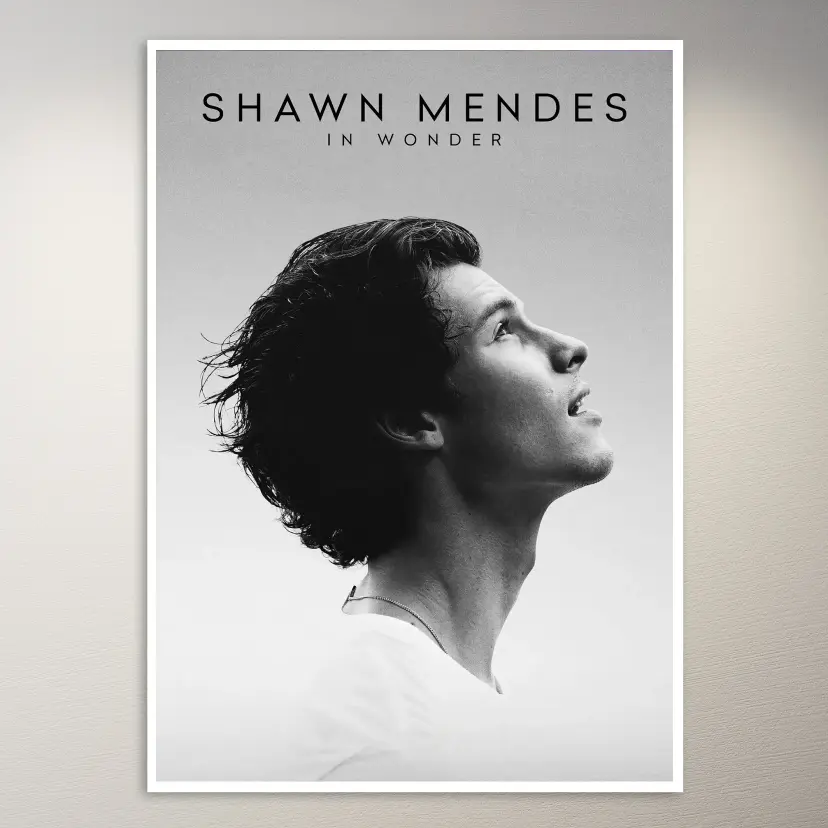 Shawn Mendes In Wonder Poster