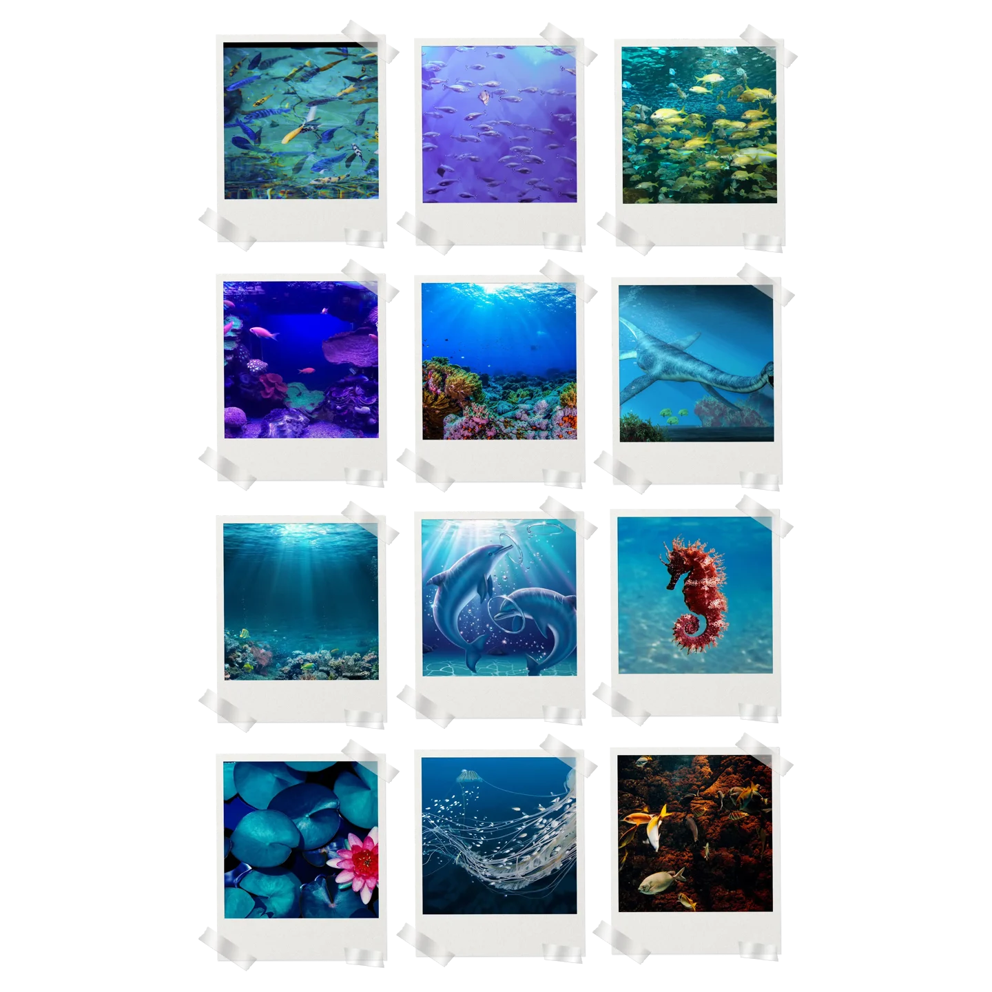 Aquatic Prints Set of 12