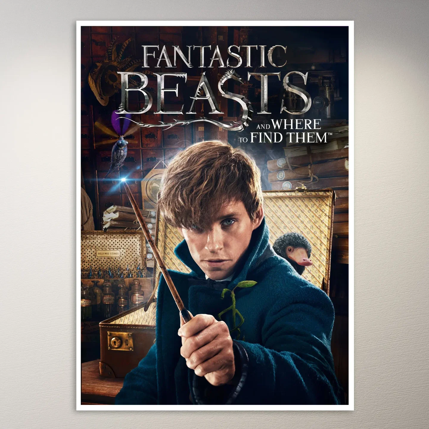 Fantastic Beasts Newt Scamander Poster