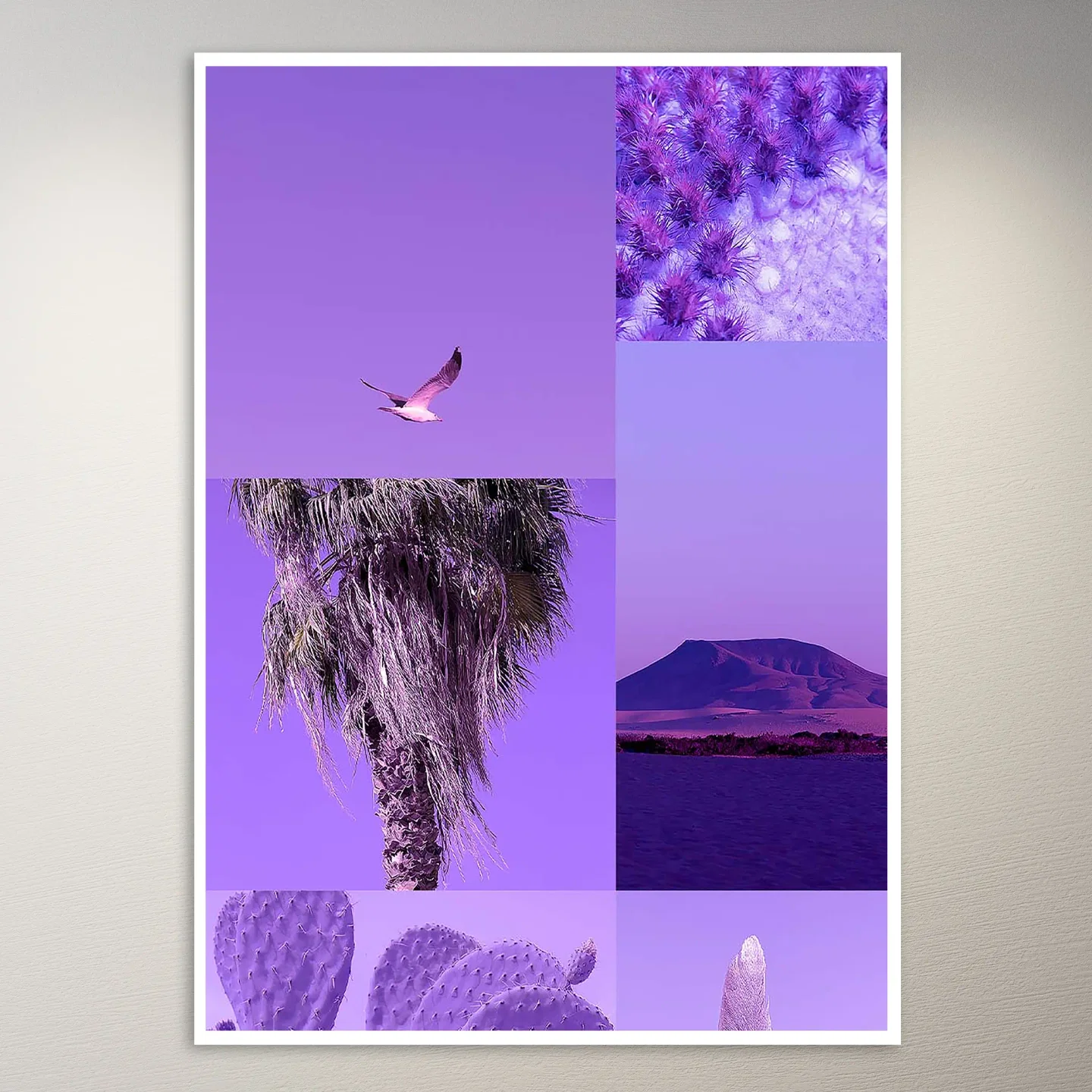 Random Aesthetics Wall Poster