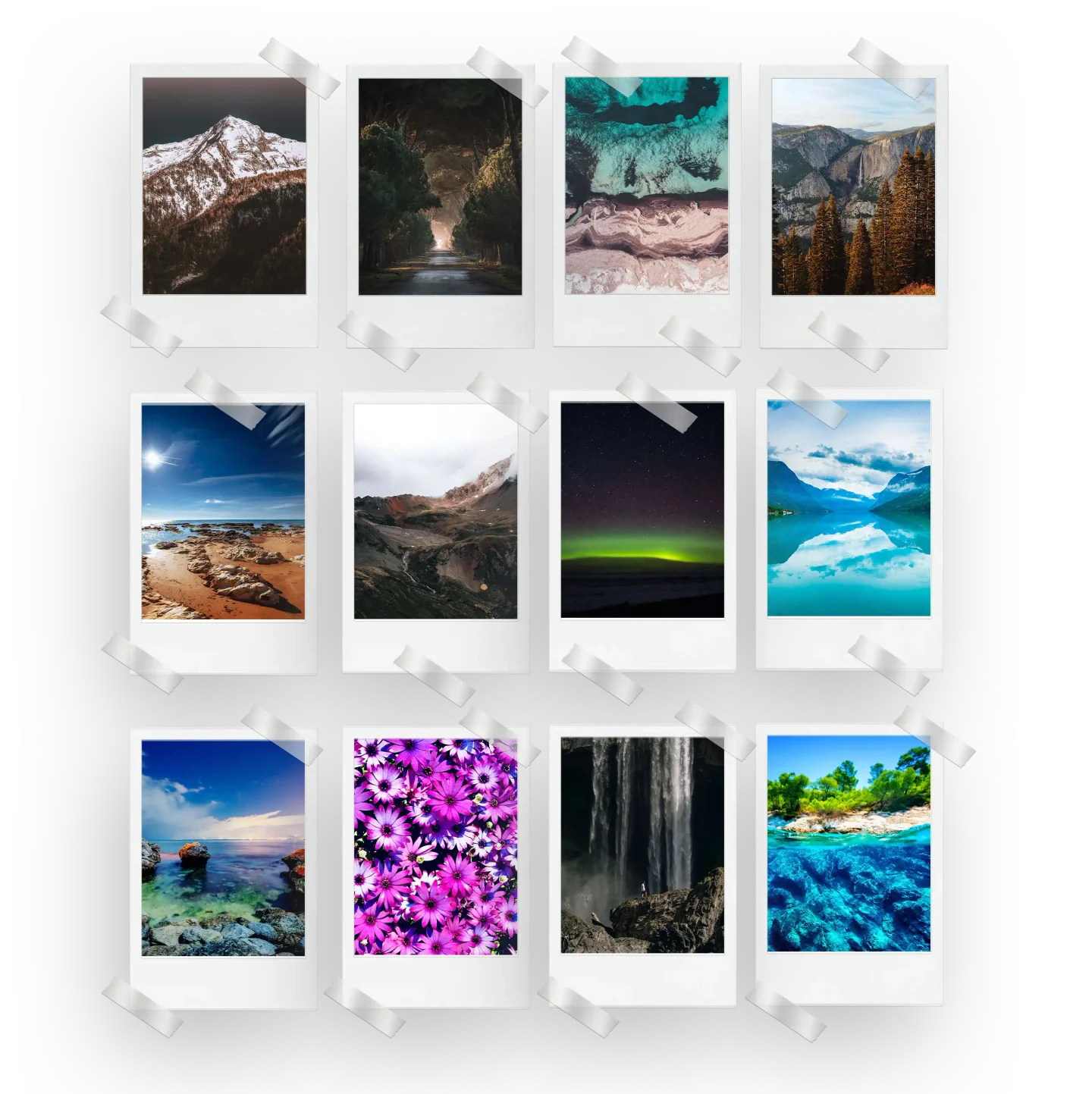 Nature Prints Set of 12