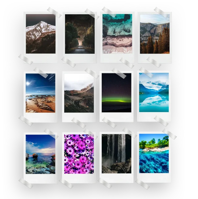 Nature Prints Set of 12