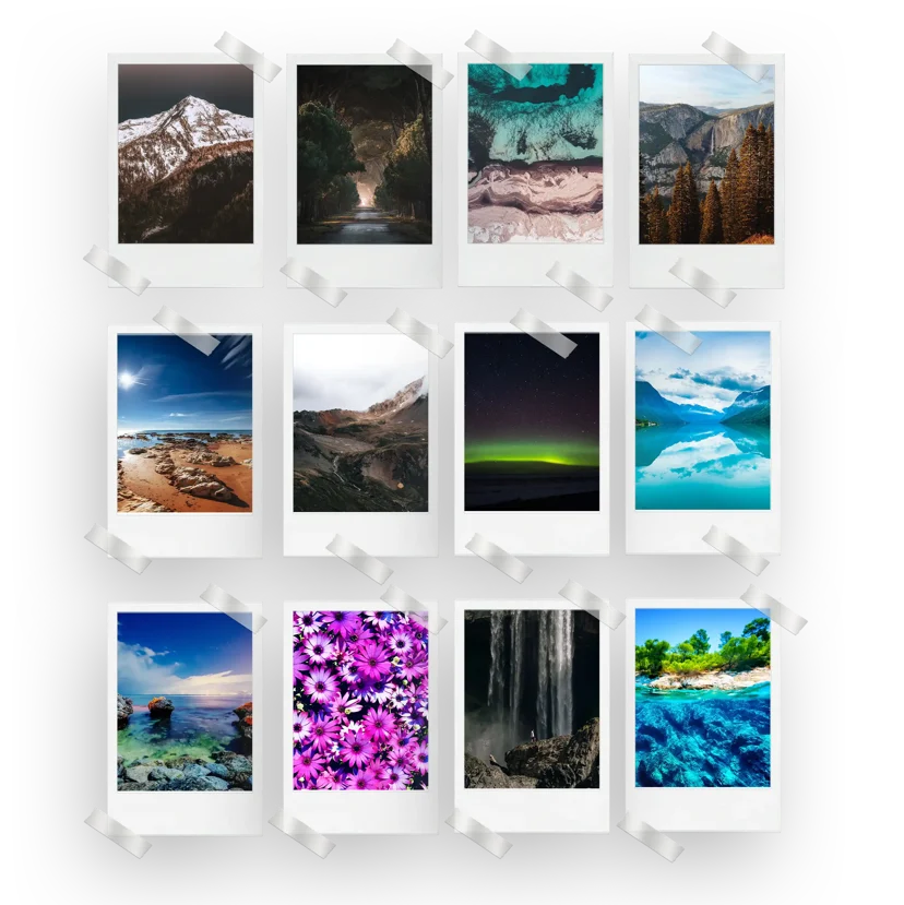 Nature Prints Set of 12