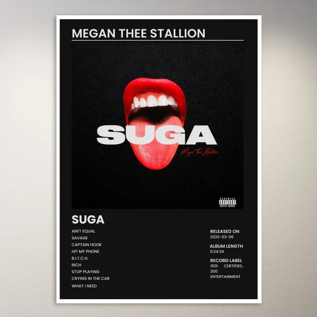 Megan Thee Stallion Poster