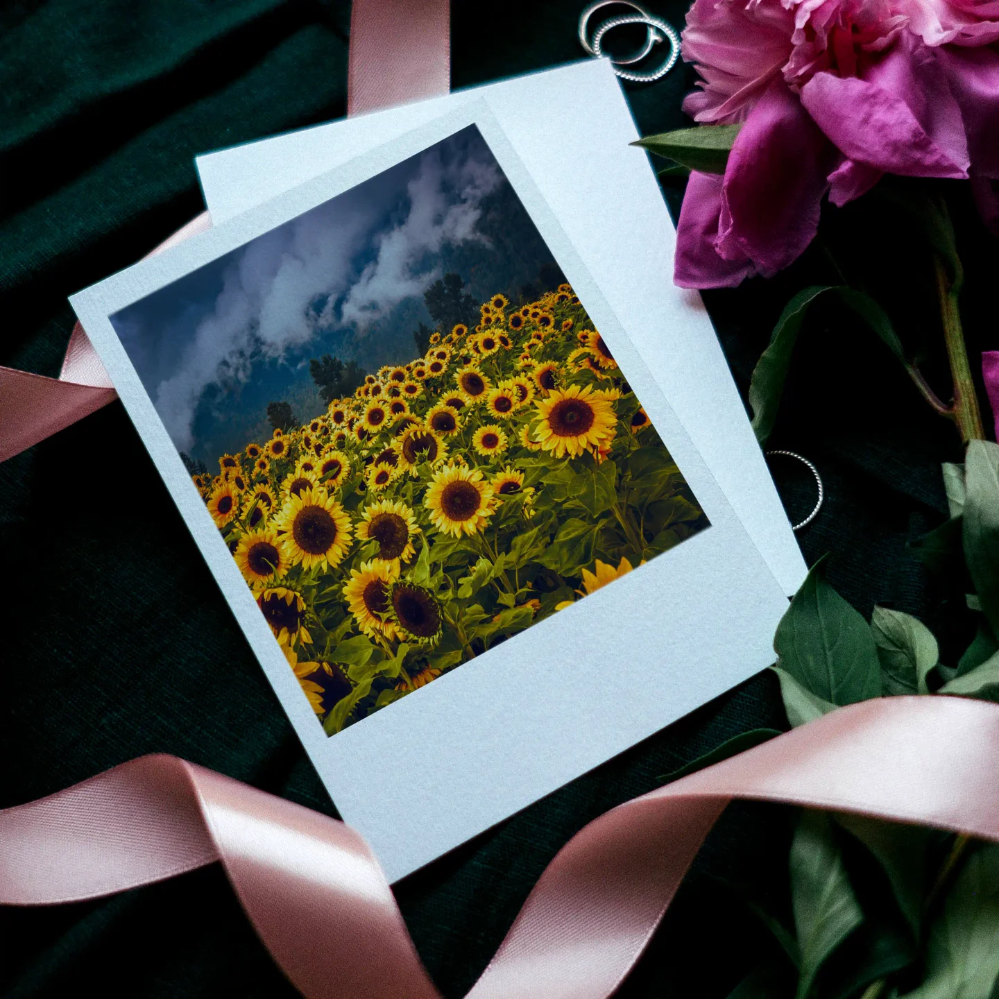 Sunflowers Prints Set of 12
