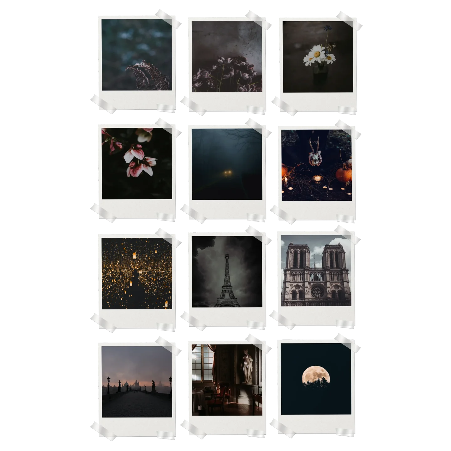 Dark Academia Prints Set of 12