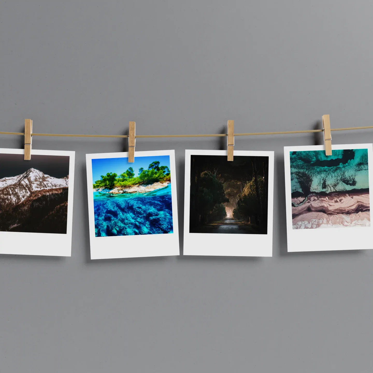 Nature Prints Set of 12