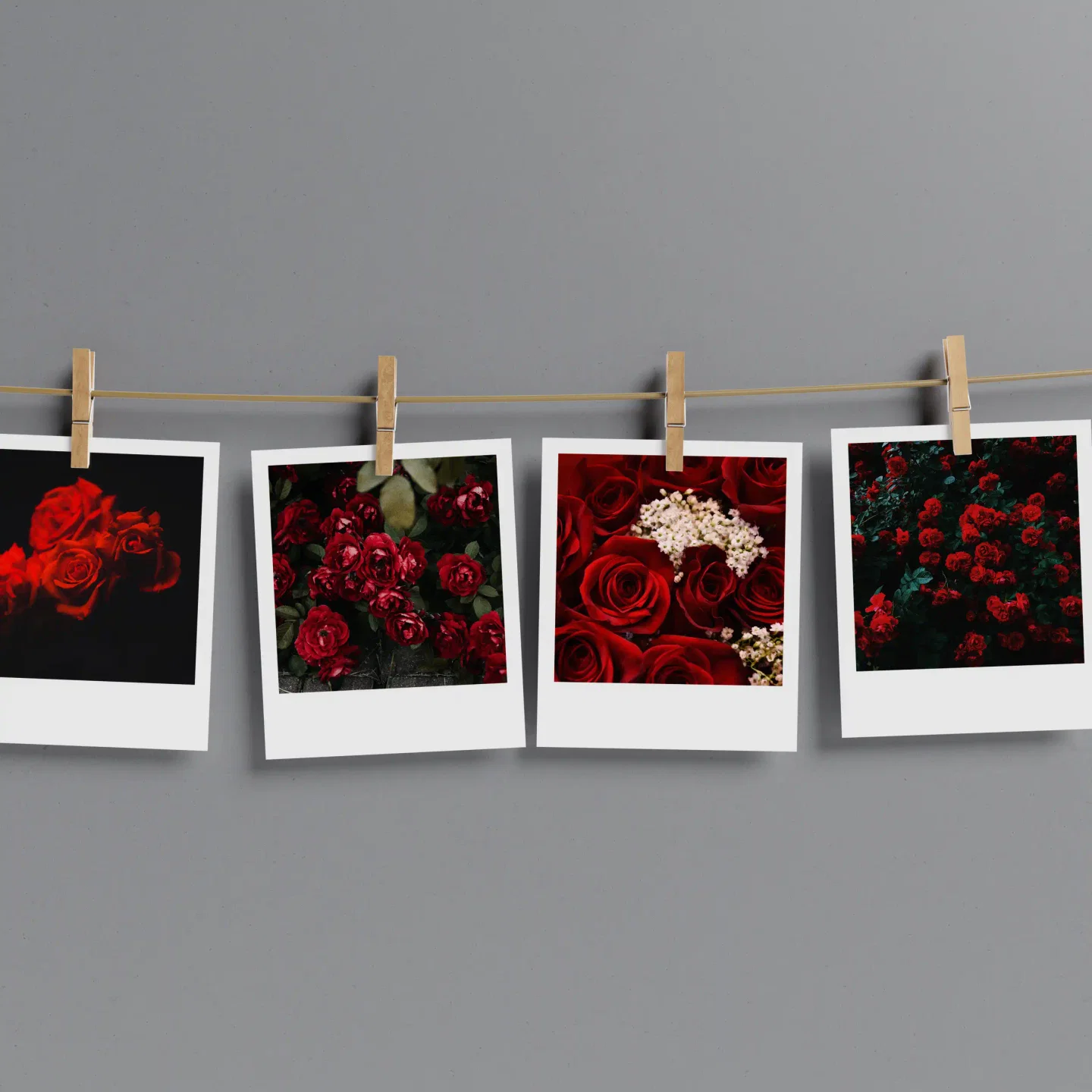 Red Roses Prints Set of 12
