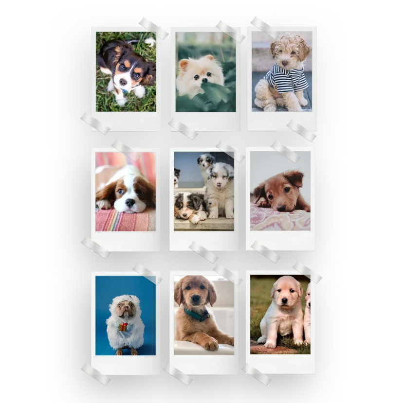 Puppies Prints Set of 9