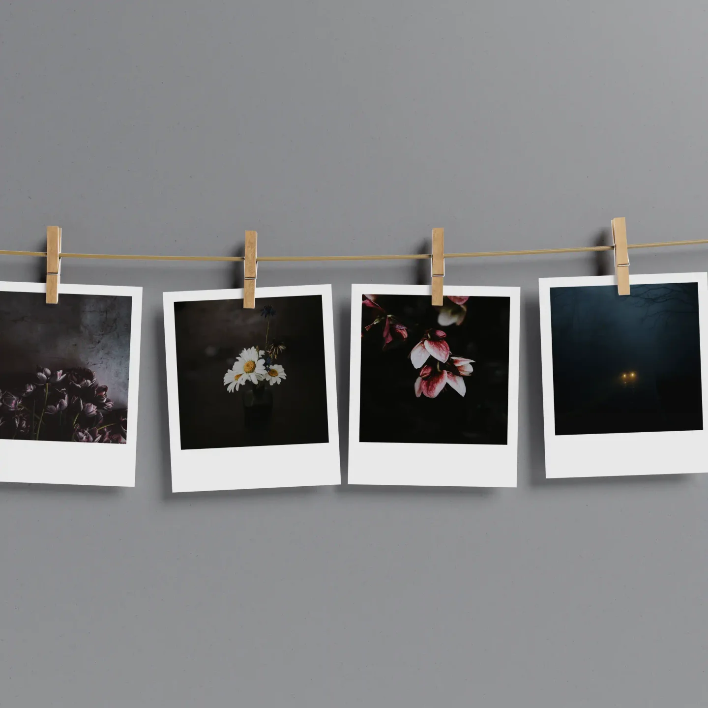 Dark Academia Prints Set of 12
