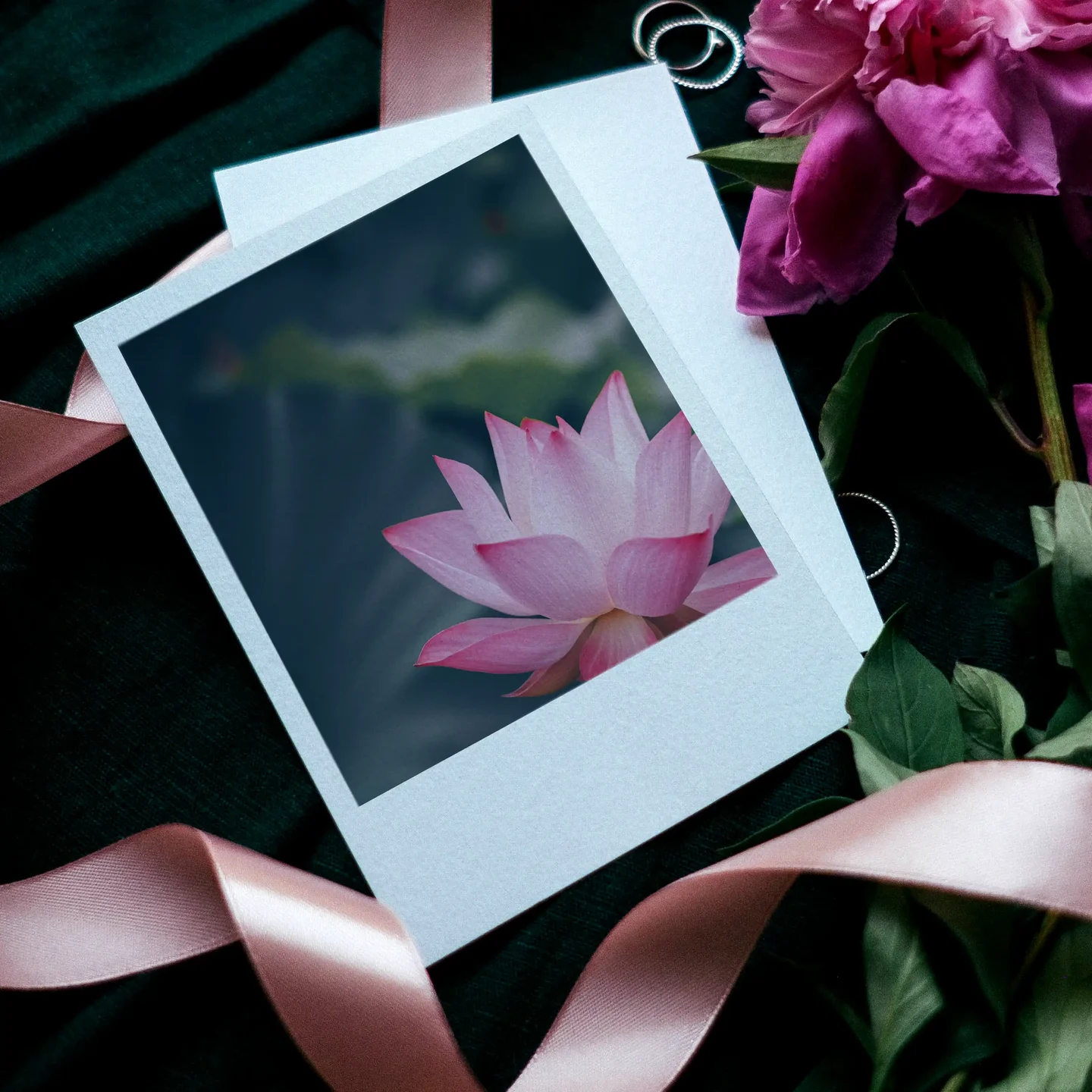 Lotus Prints Set of 13